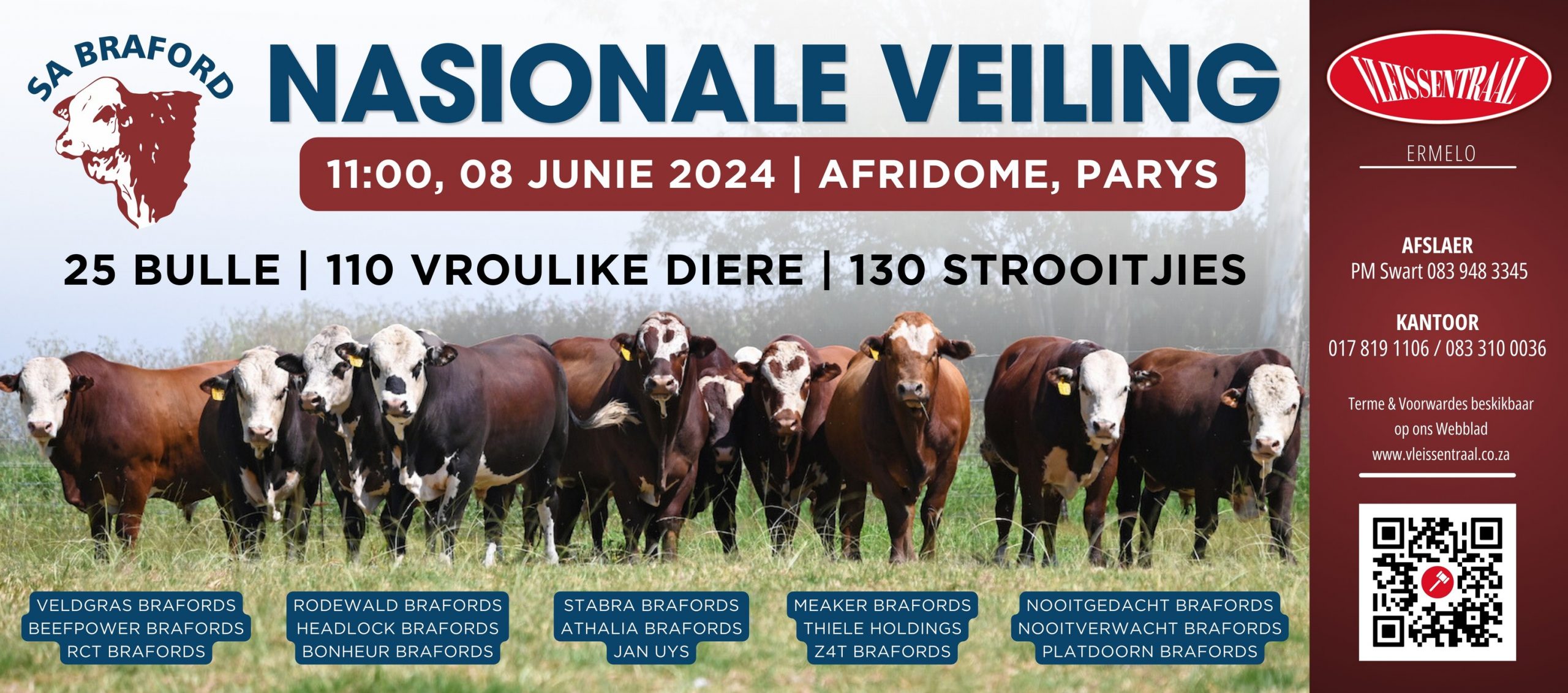 SA Braford 10th National Auction - 8 June 2024
